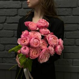 Just Flor