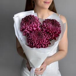 Cvetochniy BOOM