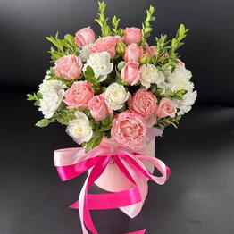 Bellis Flowers