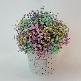 Bambini Flowers