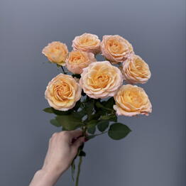 DDflowers24