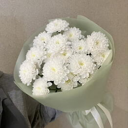 Cantar Flores