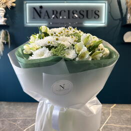 NARCISSUS