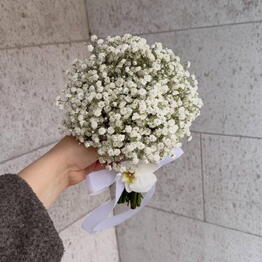 Bloom Boom
