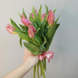 Kaktus flo