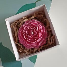 Soul. Eco Decor