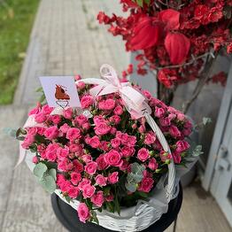 Rilak Костанай