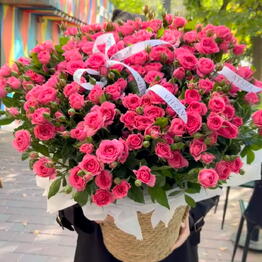 Aysha Floral