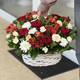 Флорацентр