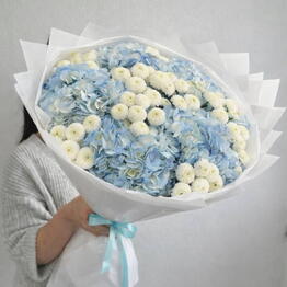 Bloom Boom