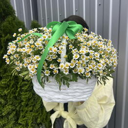 Royal Flora
