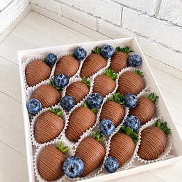 CHOCOBERRY SHOP64