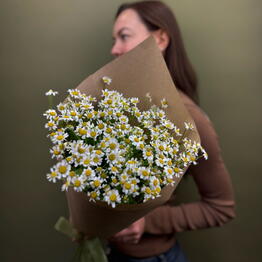 Viva Blossom