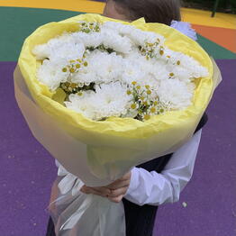 Vivat Flowers
