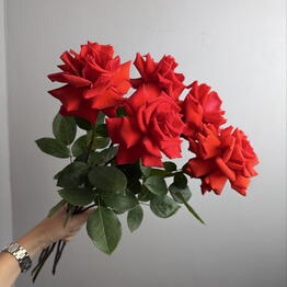 Volkova flowers