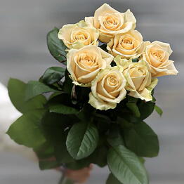 Lucas Flowers