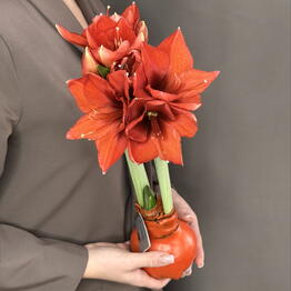Fenomen Flowers