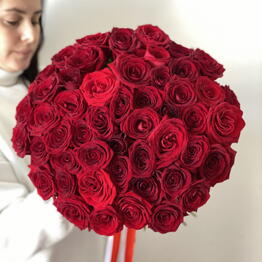 BLOOM ROOM