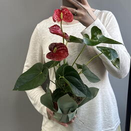 Art-Bouquet 