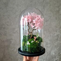 Flora Perm