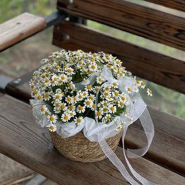 Cvety i Dekor Fleur