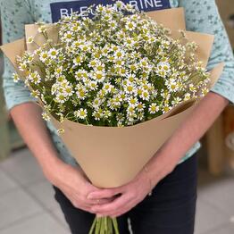 Ирис Blumen