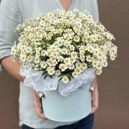 Anna Flowers studio 