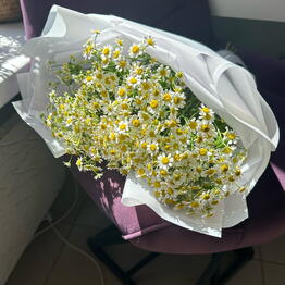 Veranda Flower
