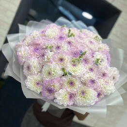 Bloom Boom