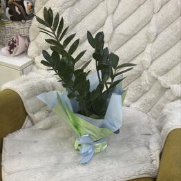 Oze flowers 