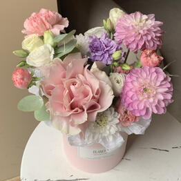 Blanche flowers na komendantskom