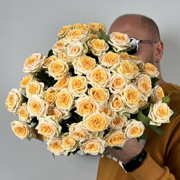 Flora lotus