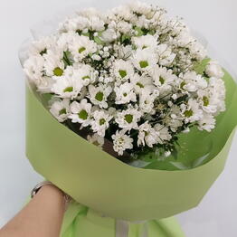 Maksi Flora