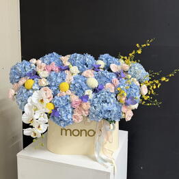 Monoo