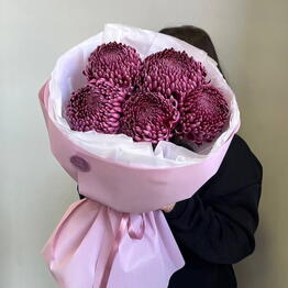 Fresh Flowers kzn