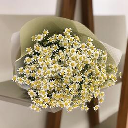 Premium Flowers