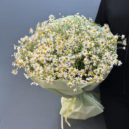 FloWers24