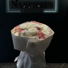 NARCISSUS