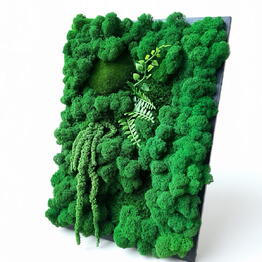 FreshMoss