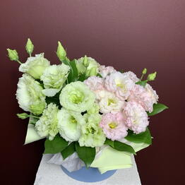СТЕБЕЛЬ flowers
