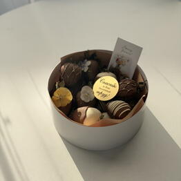 chocofruittmn
