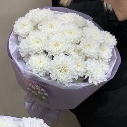 MI FLORISTIC