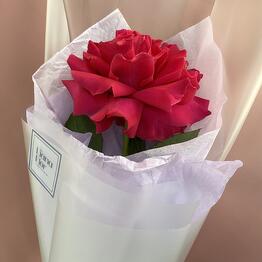 Лиана флор