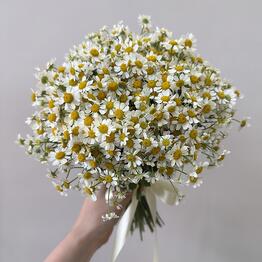 ФЛОКИТ