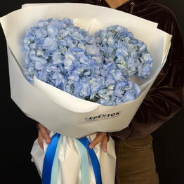 Lepestok_premium