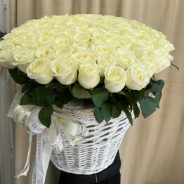 Red Rose
