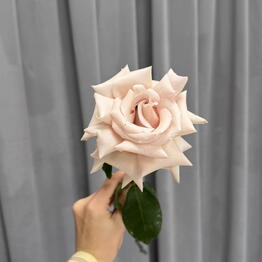 Niche_flower_service