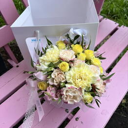 MiMi box