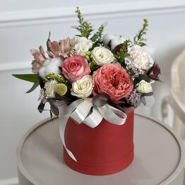  VioletFlowers