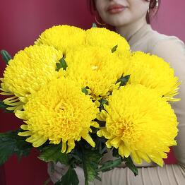 Elite Flowers